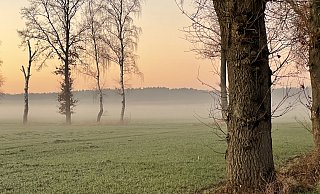 Nebel zieht über den Felder in der Nähe von Espelkamp auf - an einem klaren, aber kalten Tag Ende Dezember 2024. - Heike von Schulz Nebel zieht über den Felder in der Nähe von Espelkamp auf - an einem klaren, aber kalten Tag Ende Dezember 2024. - Heike von Schulz