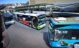 Gleichzeitig fahren im Halbstundentakt die Busse vom ZOB ab. Ein System, das von Kritikern als ineffektiv kritisiert wird. - Andreas Fruecht Gleichzeitig fahren im Halbstundentakt die Busse vom ZOB ab. Ein System, das von Kritikern als ineffektiv kritisiert wird. - Andreas Fruecht