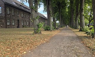 Der Friedhofswall sollte schon pünktlich zu Landesgartenschau aufgewertet werden. Mehrfach wurde das Projekt jedoch verschoben. - Thomas Kube Der Friedhofswall sollte schon pünktlich zu Landesgartenschau aufgewertet werden. Mehrfach wurde das Projekt jedoch verschoben. - Thomas Kube