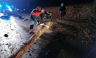 Baum wird geräumt - Feuerwehr Spenge Baum wird geräumt - Feuerwehr Spenge