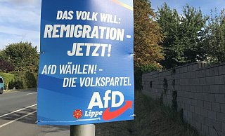 Die AfD hat bei der Integrationsratswahl in Detmold überraschend gut abgeschnitten. - Anneke Quasdorf Die AfD hat bei der Integrationsratswahl in Detmold überraschend gut abgeschnitten. - Anneke Quasdorf