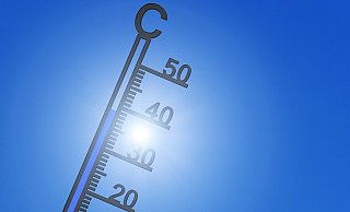 Wenn es richtig Sommer wird, finden das nicht alle gut. - Pixabay Wenn es richtig Sommer wird, finden das nicht alle gut. - Pixabay