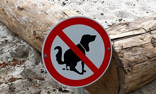 In Bielefeld hat die Zahl der Hunde im vergangenen Jahr deutlich zugenommen - und damit auch die der Hundehaufen. - Symbolfoto In Bielefeld hat die Zahl der Hunde im vergangenen Jahr deutlich zugenommen - und damit auch die der Hundehaufen. - Symbolfoto