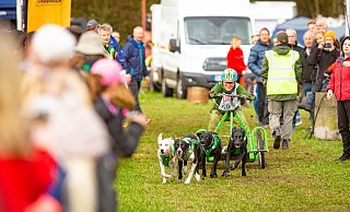 Und los: Die vier Hounds der Deutschen Meisterin im Schlittenhunderennen, Catja Bach, dürfen endlich rennen, was die Pfoten hergeben. - Mike-Dennis Müller / www.mdm.photo Und los: Die vier Hounds der Deutschen Meisterin im Schlittenhunderennen, Catja Bach, dürfen endlich rennen, was die Pfoten hergeben. - Mike-Dennis Müller / www.mdm.photo