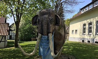 Das Mammut vor dem Heimatmuseum Löhne hat auch eine zeitlang Maske getragen. Die Mund-Nase-Bedeckung wird irgendwann in der Zukunft bestimmt mal eine große Rolle spielen. - Sonja Voss Das Mammut vor dem Heimatmuseum Löhne hat auch eine zeitlang Maske getragen. Die Mund-Nase-Bedeckung wird irgendwann in der Zukunft bestimmt mal eine große Rolle spielen. - Sonja Voss