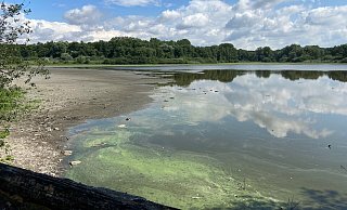 Der Wasserspiegel des Norderteichs ist weiter gesunken. - Ariane Mönikes Der Wasserspiegel des Norderteichs ist weiter gesunken. - Ariane Mönikes