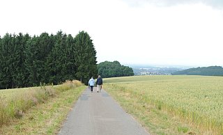 Wandern auf den Höhenzügen der Stemweder Berge ist beliebt. Das nördlichste Mittelgebirge ist ein Ausflugsziel. - Joern Spreen-Ledebur Wandern auf den Höhenzügen der Stemweder Berge ist beliebt. Das nördlichste Mittelgebirge ist ein Ausflugsziel. - Joern Spreen-Ledebur