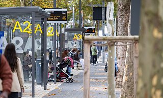 An der Zentralen Busstation an der Paderborner Friedrichstraße griff eine Gruppe einen 24-Jährigen an. - Niklas Tüns (Symbolfoto) An der Zentralen Busstation an der Paderborner Friedrichstraße griff eine Gruppe einen 24-Jährigen an. - Niklas Tüns (Symbolfoto)