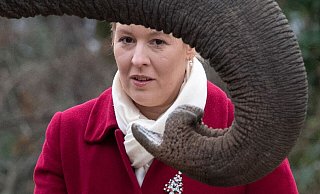 Berlins Regierende Bürgermeisterin Franziska Giffey (SPD) füttert im Zoo einen Elefanten. - Paul Zinken/dpa Berlins Regierende Bürgermeisterin Franziska Giffey (SPD) füttert im Zoo einen Elefanten. - Paul Zinken/dpa