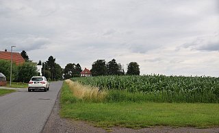 Östlich des Sieler Weges ist das Neubaugebiet geplant. - Mareike Patock Östlich des Sieler Weges ist das Neubaugebiet geplant. - Mareike Patock
