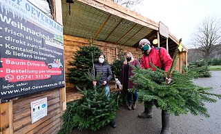 Auf der Bühne beim Baum-Drive-in auf Hof Oevermann drehen sich die hübschen Nordmanntannen im Kreis. - Heike von Schulz Auf der Bühne beim Baum-Drive-in auf Hof Oevermann drehen sich die hübschen Nordmanntannen im Kreis. - Heike von Schulz