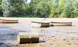 Die Fischteiche in Paderborn sind wieder teilweise versandet beziehungsweise ausgetrocknet. - Rajkumar Mukherjee Die Fischteiche in Paderborn sind wieder teilweise versandet beziehungsweise ausgetrocknet. - Rajkumar Mukherjee