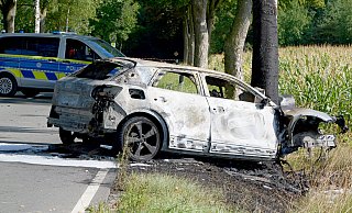 Bei einem Verkehrsunfall auf dem Alten Hellweg (K37) in Höhe Gut Wilhelmsburg ist am Samstagvormittag ein Audi gegen einen Straßenbaum geprallt. - Ralph Meyer Bei einem Verkehrsunfall auf dem Alten Hellweg (K37) in Höhe Gut Wilhelmsburg ist am Samstagvormittag ein Audi gegen einen Straßenbaum geprallt. - Ralph Meyer