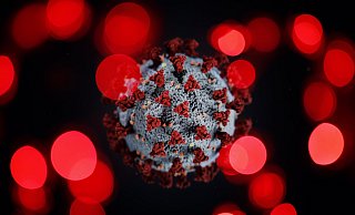 Das Bild zeigt ein Coronavirus umgeben von anderen Krankheitserregern: In der Krise versuchen fragwürdige Aufklärer die Verunsicherung der Menschen für sich zu nutzen. - picture alliance / Geisler-Fotopress Das Bild zeigt ein Coronavirus umgeben von anderen Krankheitserregern: In der Krise versuchen fragwürdige Aufklärer die Verunsicherung der Menschen für sich zu nutzen. - picture alliance / Geisler-Fotopress