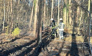 Große Trockenheit und viel Totholz im Osterwald schürt die Waldbrandgefahr. Einsatzkräfte beim Löscheinsatz am Samstag, 29. März. Am Mittwoch brach erneut an der Stelle Feuer aus. - Presseteam der Feuerwehr Espelkamp Große Trockenheit und viel Totholz im Osterwald schürt die Waldbrandgefahr. Einsatzkräfte beim Löscheinsatz am Samstag, 29. März. Am Mittwoch brach erneut an der Stelle Feuer aus. - Presseteam der Feuerwehr Espelkamp