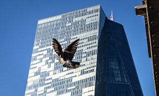 Eine Taube hebt bei strahlendem Sonennschein vor der Zentrale der Europäischen Zentralbank in Frankfurt ab. - Frank Rumpenhorst/dpa Eine Taube hebt bei strahlendem Sonennschein vor der Zentrale der Europäischen Zentralbank in Frankfurt ab. - Frank Rumpenhorst/dpa
