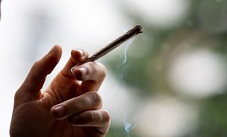 Die Ampel-Parteien wollen 2023 Cannabis zu Genusszwecken legalisieren. - Fabian Sommer/dpa Die Ampel-Parteien wollen 2023 Cannabis zu Genusszwecken legalisieren. - Fabian Sommer/dpa