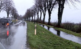 In diesem Bereich der B 65 verlor der Kleintransporter die Kanthölzer. - Polizei Minden-Lübbecke In diesem Bereich der B 65 verlor der Kleintransporter die Kanthölzer. - Polizei Minden-Lübbecke