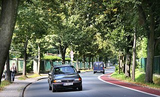 Die Allee Vlothoer Straße wird zukünftig noch zum Problem werden. Wenn es immer weniger regnet, müssen die Bäume gewässert werden. - Frank-Michael Kiel-Steinkamp Die Allee Vlothoer Straße wird zukünftig noch zum Problem werden. Wenn es immer weniger regnet, müssen die Bäume gewässert werden. - Frank-Michael Kiel-Steinkamp