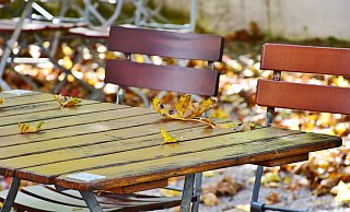 Viele Gäste ahnten, dass etwas im Busch ist. Nun gibt es Gewissheit. - Symbolfoto: Pixabay Viele Gäste ahnten, dass etwas im Busch ist. Nun gibt es Gewissheit. - Symbolfoto: Pixabay