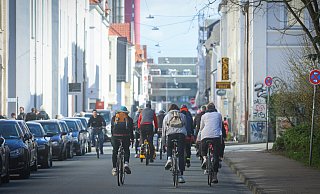 Rohrteichstraße und Ehlentruper Weg sollen komplett zu Fahrradstraßen werden. - Sarah Jonek Fotografie Rohrteichstraße und Ehlentruper Weg sollen komplett zu Fahrradstraßen werden. - Sarah Jonek Fotografie