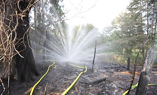 Bei den Löscharbeiten kam auch der neue Spezialkopf für Waldbrände zum Einsatz. - Nicole Sielermann Bei den Löscharbeiten kam auch der neue Spezialkopf für Waldbrände zum Einsatz. - Nicole Sielermann