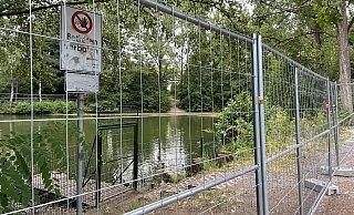 Betreten verboten: Der 1,80 Meter hohe Bauzaun versperrt den Weg zum Buttersee. - Shannon-Lee Bendig Betreten verboten: Der 1,80 Meter hohe Bauzaun versperrt den Weg zum Buttersee. - Shannon-Lee Bendig