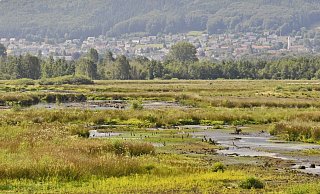 Das ist der aktuelle Wasserstand. - G.H. Nahrwold Das ist der aktuelle Wasserstand. - G.H. Nahrwold