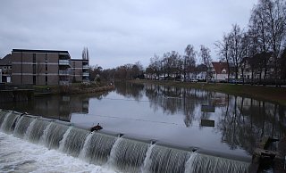 Das Bergertor-Wehr wird neu gebaut. In einem Atemzug sollen auch die Freiflächen gestaltet werden. Dafür müssen mehr als 30 Bäume gefällt werden. - Susanne Blersch Das Bergertor-Wehr wird neu gebaut. In einem Atemzug sollen auch die Freiflächen gestaltet werden. Dafür müssen mehr als 30 Bäume gefällt werden. - Susanne Blersch