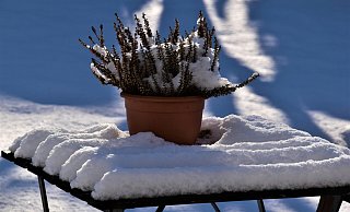 Eine alte Bauernregel besagt: Bis zum 21. Oktober muss der Garten winterfest sein. Heutzutage sieht man diese Regel nicht mehr so eng. - Unsplash Eine alte Bauernregel besagt: Bis zum 21. Oktober muss der Garten winterfest sein. Heutzutage sieht man diese Regel nicht mehr so eng. - Unsplash