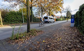 Radfahrer müssen auf dem Radweg an der Dubelohstraße Bäume umfahren, manche weichen daher auf die Straße aus. - Niklas Tüns Radfahrer müssen auf dem Radweg an der Dubelohstraße Bäume umfahren, manche weichen daher auf die Straße aus. - Niklas Tüns