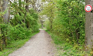 Die Sperre ist weg, der Wanderweg in der Verlängerung der Hanegge kann wieder benutzt werden. - Gunter Held Die Sperre ist weg, der Wanderweg in der Verlängerung der Hanegge kann wieder benutzt werden. - Gunter Held