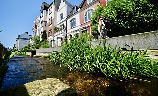 Die offengelegte Lutter in der Ravensberger Straße ist an heißen Tagen für viele ein kühler Hotspot. Doch in Bielefeld gibt’s noch mehr Orte am Wasser. - Peter Unger Die offengelegte Lutter in der Ravensberger Straße ist an heißen Tagen für viele ein kühler Hotspot. Doch in Bielefeld gibt’s noch mehr Orte am Wasser. - Peter Unger