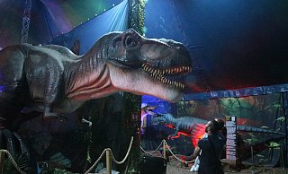 Imposante Dinos in allen Größen: Bei der iTronic-Dinosaurs Ausstellung am Bielefelder Gleisdreieck wartet auch dieser T-Rex auf Besucherinnen und Besucher. - Dana Thoeren Imposante Dinos in allen Größen: Bei der iTronic-Dinosaurs Ausstellung am Bielefelder Gleisdreieck wartet auch dieser T-Rex auf Besucherinnen und Besucher. - Dana Thoeren