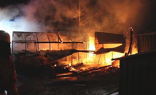 Eine Vogelvoliere sowie eine Gewächshaus wurde das Opfer der Flammen. - Polizei Kreis Minden-Lübbecke Eine Vogelvoliere sowie eine Gewächshaus wurde das Opfer der Flammen. - Polizei Kreis Minden-Lübbecke