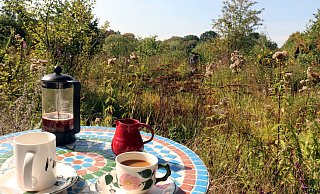 So lässt es sich aushalten: Spätsommersonne, kleiner Tisch, zwei Stühle und zwei Tassen Kaffee inmitten der Vegetation – schöner geht’s nicht. Der Blick fällt theoretisch auf den Gartenteich, der ist in diesen Septembertagen allerdings ziemlich zugewachsen. Die Natur freut sich darüber. Und die weitaus meisten Besucher der Eheleute Freyja und Friedhelm Diebrok ebenfalls. - Meiko Haselhorst So lässt es sich aushalten: Spätsommersonne, kleiner Tisch, zwei Stühle und zwei Tassen Kaffee inmitten der Vegetation – schöner geht’s nicht. Der Blick fällt theoretisch auf den Gartenteich, der ist in diesen Septembertagen allerdings ziemlich zugewachsen. Die Natur freut sich darüber. Und die weitaus meisten Besucher der Eheleute Freyja und Friedhelm Diebrok ebenfalls. - Meiko Haselhorst