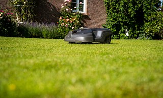 Ein Mähroboter schnurrt im Garten. In der Nacht gefährdet die Maschine allerdings Igel und andere Kleintiere. - Benjamin Nolte/dpa-tmn Ein Mähroboter schnurrt im Garten. In der Nacht gefährdet die Maschine allerdings Igel und andere Kleintiere. - Benjamin Nolte/dpa-tmn