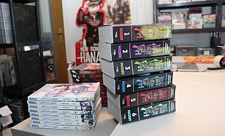 Zwei Löhnerinnen sind mit einem Manga-Online-Shop erfolgreich. - Judith Gladow Zwei Löhnerinnen sind mit einem Manga-Online-Shop erfolgreich. - Judith Gladow