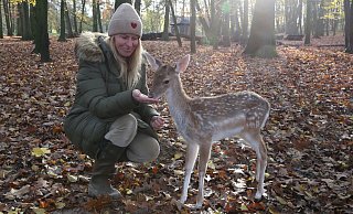 Nicole Gröger füttert den zutraulichen Linus im Gehege mit Bucheckern. - Elke Niedringhaus-Haasper Nicole Gröger füttert den zutraulichen Linus im Gehege mit Bucheckern. - Elke Niedringhaus-Haasper