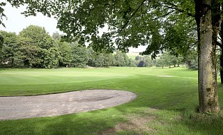 Viele Bäume strukturieren das Gelände des Golfclubs Heerhof in Exter. Sie müssten zum Teil wohl zugunsten einer flächendeckenden Photovoltaikanlage geopfert werden. - Frank-Michael Kiel-Steinkamp Viele Bäume strukturieren das Gelände des Golfclubs Heerhof in Exter. Sie müssten zum Teil wohl zugunsten einer flächendeckenden Photovoltaikanlage geopfert werden. - Frank-Michael Kiel-Steinkamp