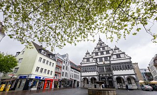 Im Umweltausschuss wurde über die Zukunft der Baumschutzsatzung diskutiert - mit einem Ergebnis. - Niklas Tüns Im Umweltausschuss wurde über die Zukunft der Baumschutzsatzung diskutiert - mit einem Ergebnis. - Niklas Tüns
