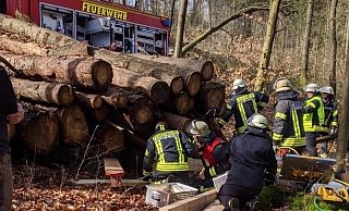 Die Feuerwehr beim Bergen des Hundes. - Christian Mathiesen Die Feuerwehr beim Bergen des Hundes. - Christian Mathiesen