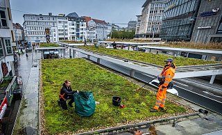 Bislang beschränkt sich das wenige Jahnplatz-Grün unter anderem auf die Dächer der Bushaltestellen. - Sarah Jonek Bislang beschränkt sich das wenige Jahnplatz-Grün unter anderem auf die Dächer der Bushaltestellen. - Sarah Jonek