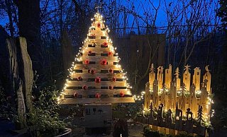 Ein Weihnachtsbaum zum Verlieben: Der Christbaum aus Holzbrettern stellt alle Nadelbäume in den Schatten und ist dabei auch selbstgemacht. - Oliver Schlitter Ein Weihnachtsbaum zum Verlieben: Der Christbaum aus Holzbrettern stellt alle Nadelbäume in den Schatten und ist dabei auch selbstgemacht. - Oliver Schlitter