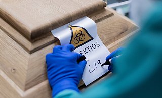 Eindeutige Kennzeichnung: Ein Bestatter schreibt „C19" auf ein Schild mit dem Hinweis „Infektiös". Es ist der Sarg eines mit oder an Corona Verstorbenen. - Rolf Vennenbernd Eindeutige Kennzeichnung: Ein Bestatter schreibt „C19" auf ein Schild mit dem Hinweis „Infektiös". Es ist der Sarg eines mit oder an Corona Verstorbenen. - Rolf Vennenbernd