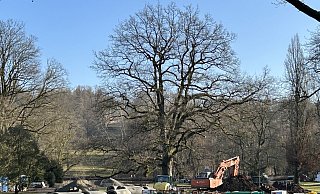 Allein das Hauptrohr musste auf einer Länge von rund 800 Metern im Gräflichen Park ersetzt werden. - Antje Kiewitt Allein das Hauptrohr musste auf einer Länge von rund 800 Metern im Gräflichen Park ersetzt werden. - Antje Kiewitt