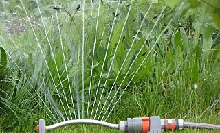 Zum zweiten Mal in Folge gab es im Sommer einen Trinkwasserengpass. Seinen Rasen mit einem Wassersprenger zu sprengen, wurde verboten. - Esther Merbt / pixabay Zum zweiten Mal in Folge gab es im Sommer einen Trinkwasserengpass. Seinen Rasen mit einem Wassersprenger zu sprengen, wurde verboten. - Esther Merbt / pixabay