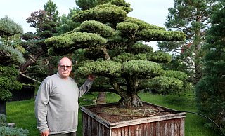 Gartengestalter Hans-Joachim Kleimann ist ein deutschlandweit gefragter Experte für asiatisch inspirierte Gartengestaltung mit Gartenbonsais. Hier zeigt er eine 150 Jahre alte, selbst importierte Japanische Mädchenkiefer. - Frank-Michael Kiel-Steinkamp Gartengestalter Hans-Joachim Kleimann ist ein deutschlandweit gefragter Experte für asiatisch inspirierte Gartengestaltung mit Gartenbonsais. Hier zeigt er eine 150 Jahre alte, selbst importierte Japanische Mädchenkiefer. - Frank-Michael Kiel-Steinkamp