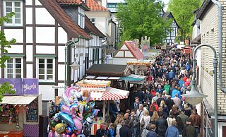 An die 40.000 Besucher zieht es jedes Jahr über die drei Festtage zum Kirschblütenfest. - Mareike Patock An die 40.000 Besucher zieht es jedes Jahr über die drei Festtage zum Kirschblütenfest. - Mareike Patock