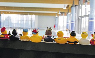 Wie Hühner auf der Stange: Etwa 50 Gummienten schauen ins leere Becken. Die Bünder Welle ist wegen der Corona-Pandemie geschlossen. - Meiko Haselhorst Wie Hühner auf der Stange: Etwa 50 Gummienten schauen ins leere Becken. Die Bünder Welle ist wegen der Corona-Pandemie geschlossen. - Meiko Haselhorst